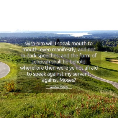 Picture 05 - Numbers 12:8 ASV - with him will I speak mouth to mouth, even - Bible Verse Picture