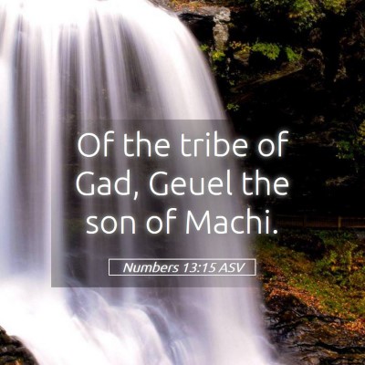 Picture 05 - Numbers 13:15 ASV - Of the tribe of Gad, Geuel the son of - Bible Verse Picture