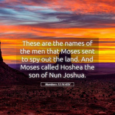 Picture 05 - Numbers 13:16 ASV - These are the names of the men that Moses sent to - Bible Verse Picture