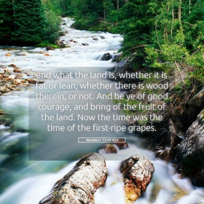 Picture 05 - Numbers 13:20 ASV - and what the land is, whether it is fat or lean, - Bible Verse Picture
