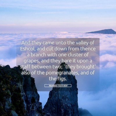 Picture 05 - Numbers 13:23 ASV - And they came unto the valley of Eshcol, and cut - Bible Verse Picture