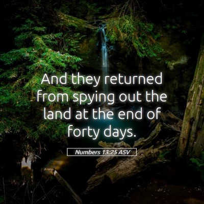 Picture 05 - Numbers 13:25 ASV - And they returned from spying out the land at the - Bible Verse Picture