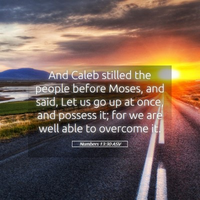 Picture 05 - Numbers 13:30 ASV - And Caleb stilled the people before Moses, and - Bible Verse Picture