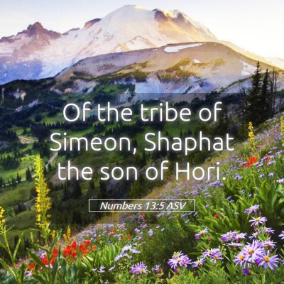 Picture 05 - Numbers 13:5 ASV - Of the tribe of Simeon, Shaphat the son of - Bible Verse Picture