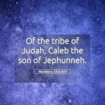 Picture 05 - Numbers 13:6 ASV - Of the tribe of Judah, Caleb the son of - Bible Verse Picture