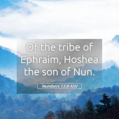 Picture 05 - Numbers 13:8 ASV - Of the tribe of Ephraim, Hoshea the son of - Bible Verse Picture