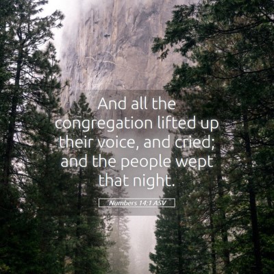 Picture 05 - Numbers 14:1 ASV - And all the congregation lifted up their voice, - Bible Verse Picture