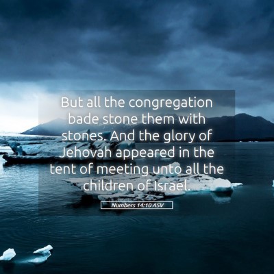 Picture 05 - Numbers 14:10 ASV - But all the congregation bade stone them with - Bible Verse Picture