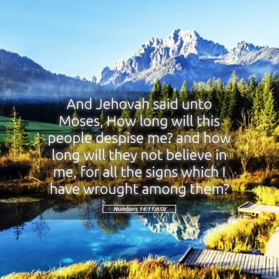 Picture 05 - Numbers 14:11 ASV - And Jehovah said unto Moses, How long will this - Bible Verse Picture
