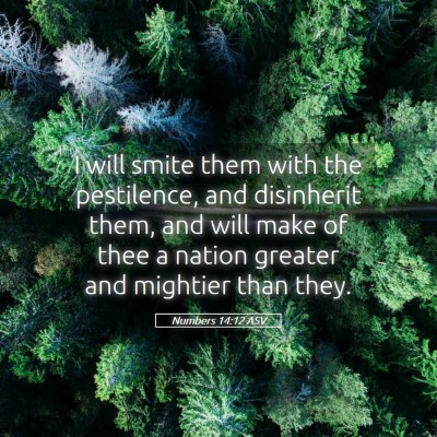Picture 05 - Numbers 14:12 ASV - I will smite them with the pestilence, and - Bible Verse Picture