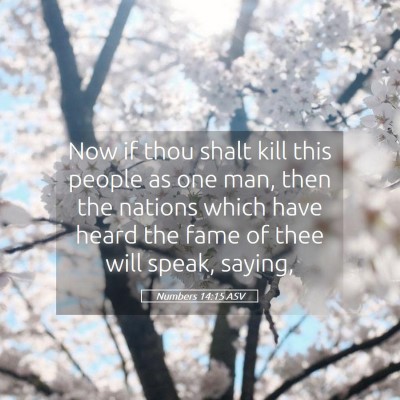 Picture 05 - Numbers 14:15 ASV - Now if thou shalt kill this people as one man, - Bible Verse Picture