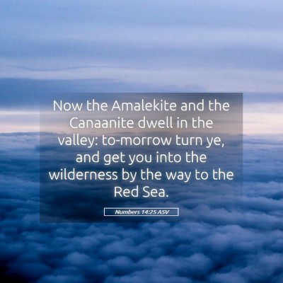 Picture 05 - Numbers 14:25 ASV - Now the Amalekite and the Canaanite dwell in the - Bible Verse Picture
