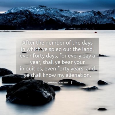 Picture 05 - Numbers 14:34 ASV - After the number of the days in which ye spied - Bible Verse Picture