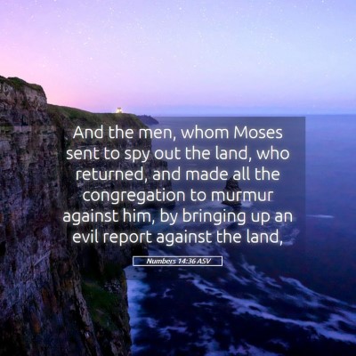 Picture 05 - Numbers 14:36 ASV - And the men, whom Moses sent to spy out the land, - Bible Verse Picture