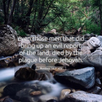 Picture 05 - Numbers 14:37 ASV - even those men that did bring up an evil report - Bible Verse Picture