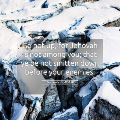 Picture 05 - Numbers 14:42 ASV - Go not up, for Jehovah is not among you; that ye - Bible Verse Picture