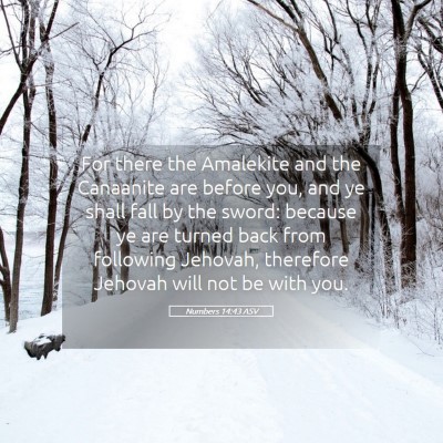 Picture 05 - Numbers 14:43 ASV - For there the Amalekite and the Canaanite are - Bible Verse Picture