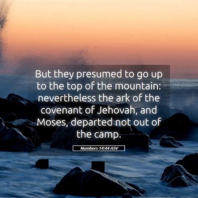 Picture 05 - Numbers 14:44 ASV - But they presumed to go up to the top of the - Bible Verse Picture