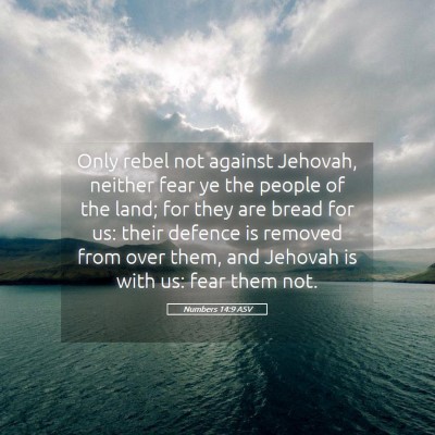 Picture 05 - Numbers 14:9 ASV - Only rebel not against Jehovah, neither fear ye - Bible Verse Picture