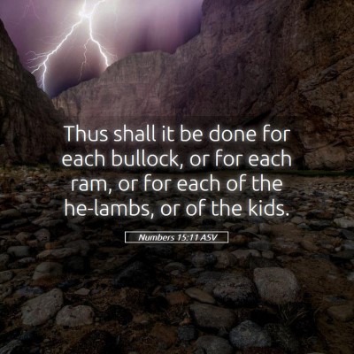 Picture 05 - Numbers 15:11 ASV - Thus shall it be done for each bullock, or for - Bible Verse Picture