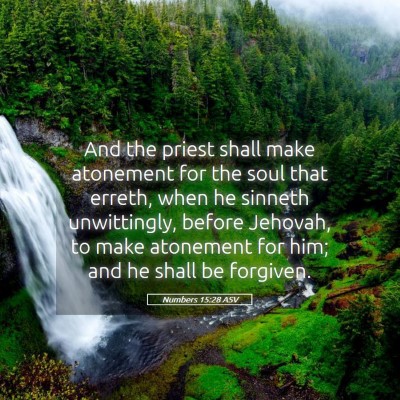 Picture 05 - Numbers 15:28 ASV - And the priest shall make atonement for the soul - Bible Verse Picture