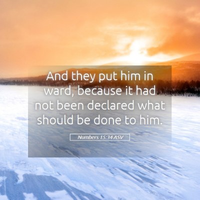 Picture 05 - Numbers 15:34 ASV - And they put him in ward, because it had not been - Bible Verse Picture