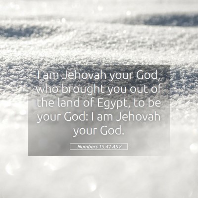 Picture 05 - Numbers 15:41 ASV - I am Jehovah your God, who brought you out of the - Bible Verse Picture