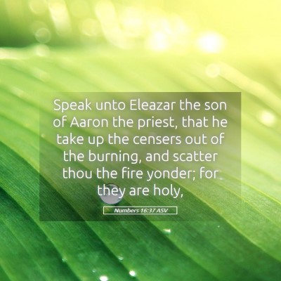Picture 05 - Numbers 16:37 ASV - Speak unto Eleazar the son of Aaron the priest, - Bible Verse Picture