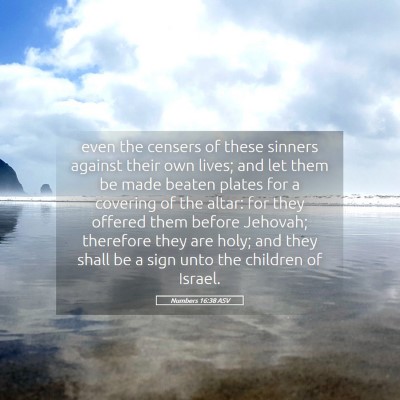 Picture 05 - Numbers 16:38 ASV - even the censers of these sinners against their - Bible Verse Picture