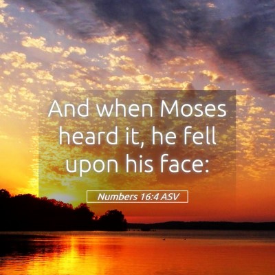 Picture 05 - Numbers 16:4 ASV - And when Moses heard it, he fell upon his - Bible Verse Picture