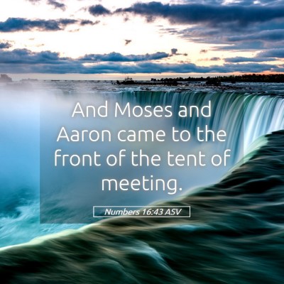 Picture 05 - Numbers 16:43 ASV - And Moses and Aaron came to the front of the tent - Bible Verse Picture