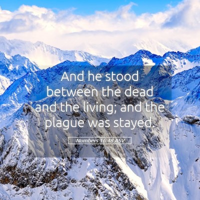 Picture 05 - Numbers 16:48 ASV - And he stood between the dead and the living; and - Bible Verse Picture