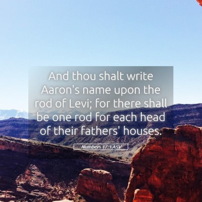 Picture 05 - Numbers 17:3 ASV - And thou shalt write Aaron's name upon the rod of - Bible Verse Picture