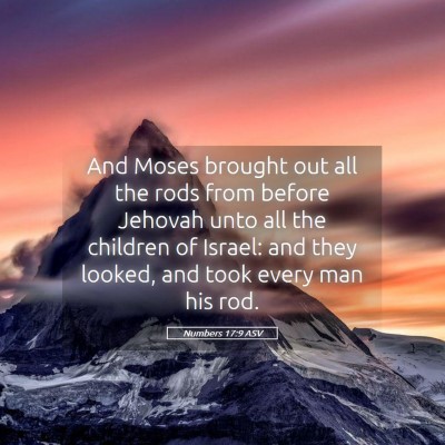 Picture 05 - Numbers 17:9 ASV - And Moses brought out all the rods from before - Bible Verse Picture