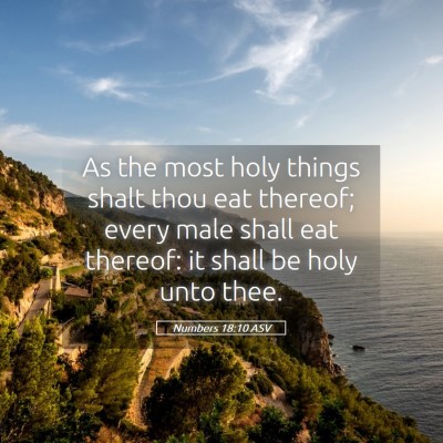 Picture 05 - Numbers 18:10 ASV - As the most holy things shalt thou eat thereof; - Bible Verse Picture