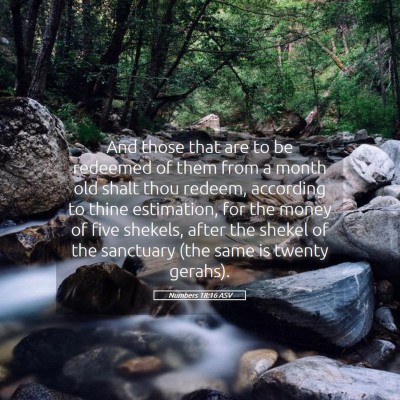 Picture 05 - Numbers 18:16 ASV - And those that are to be redeemed of them from a - Bible Verse Picture