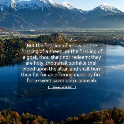 Picture 05 - Numbers 18:17 ASV - But the firstling of a cow, or the firstling of a - Bible Verse Picture