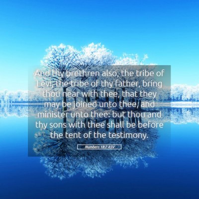 Picture 05 - Numbers 18:2 ASV - And thy brethren also, the tribe of Levi, the - Bible Verse Picture