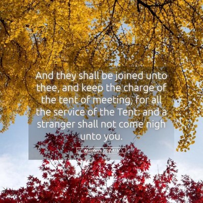 Picture 05 - Numbers 18:4 ASV - And they shall be joined unto thee, and keep the - Bible Verse Picture