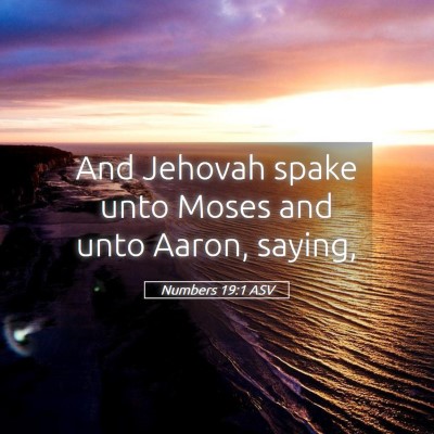 Picture 05 - Numbers 19:1 ASV - And Jehovah spake unto Moses and unto Aaron, - Bible Verse Picture
