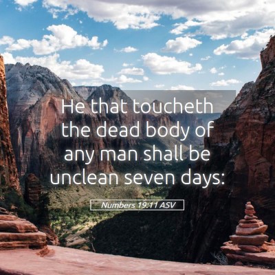 Picture 05 - Numbers 19:11 ASV - He that toucheth the dead body of any man shall - Bible Verse Picture