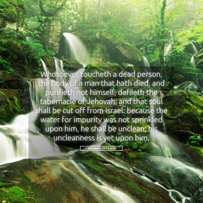 Picture 05 - Numbers 19:13 ASV - Whosoever toucheth a dead person, the body of a - Bible Verse Picture