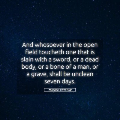 Picture 05 - Numbers 19:16 ASV - And whosoever in the open field toucheth one that - Bible Verse Picture