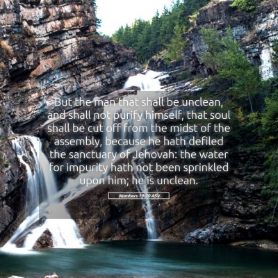 Picture 05 - Numbers 19:20 ASV - But the man that shall be unclean, and shall not - Bible Verse Picture