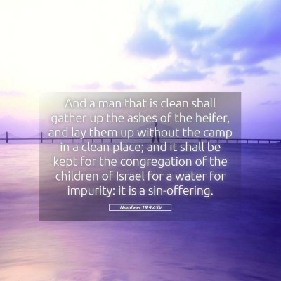 Picture 05 - Numbers 19:9 ASV - And a man that is clean shall gather up the ashes - Bible Verse Picture