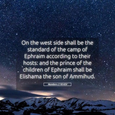 Picture 05 - Numbers 2:18 ASV - On the west side shall be the standard of the - Bible Verse Picture