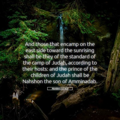 Picture 05 - Numbers 2:3 ASV - And those that encamp on the east side toward the - Bible Verse Picture