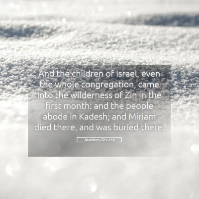 Picture 05 - Numbers 20:1 ASV - And the children of Israel, even the whole - Bible Verse Picture