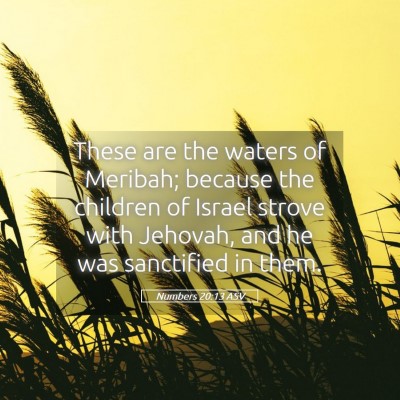 Picture 05 - Numbers 20:13 ASV - These are the waters of Meribah; because the - Bible Verse Picture