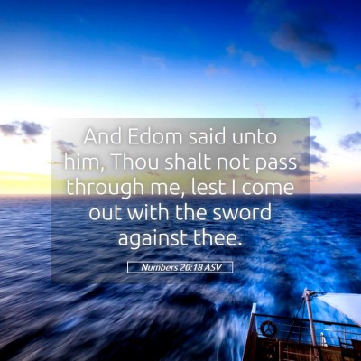 Picture 05 - Numbers 20:18 ASV - And Edom said unto him, Thou shalt not pass - Bible Verse Picture